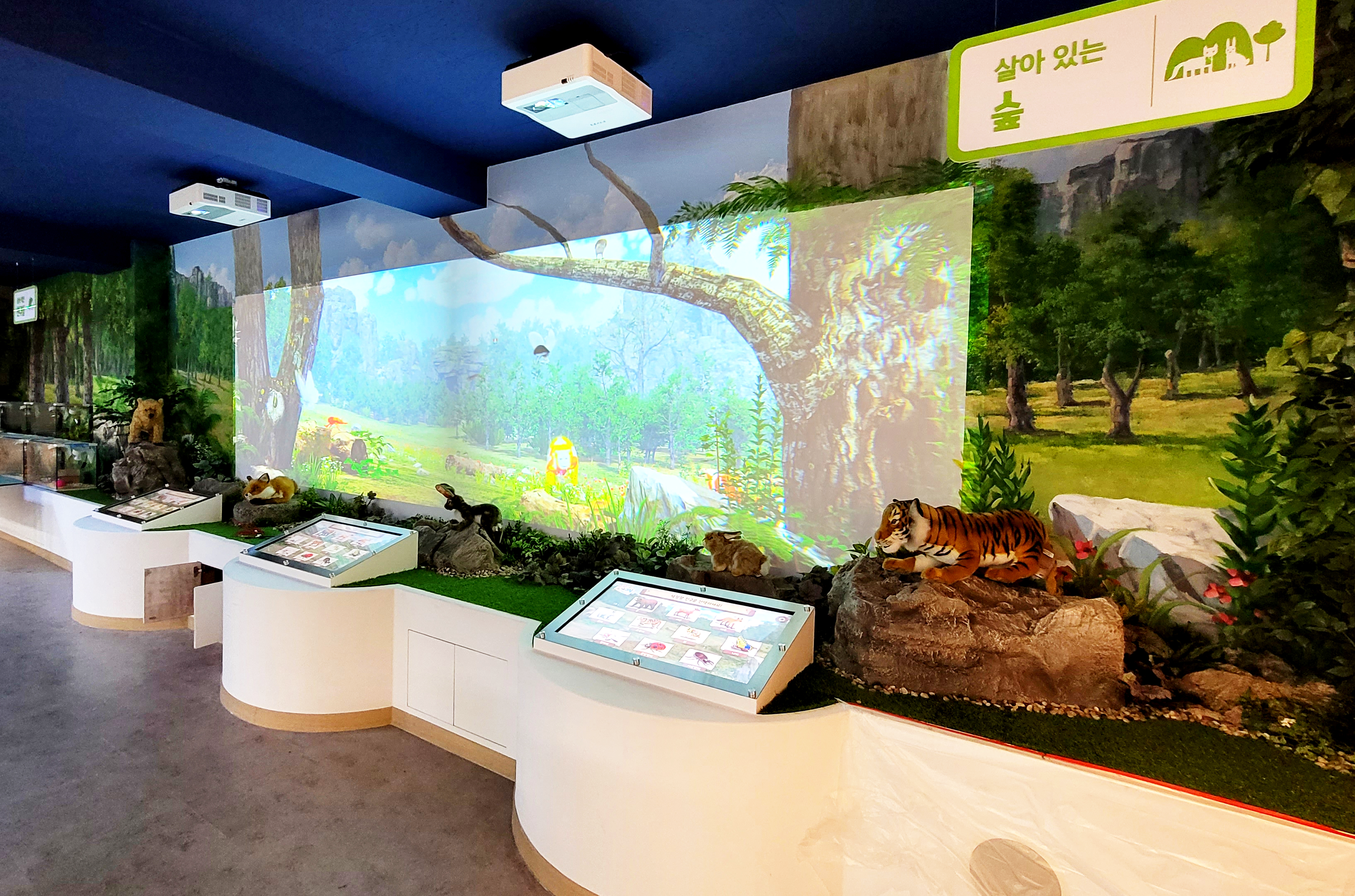 부산 유아교육진흥원 ‘살아있는 숲’ 디지털 콘텐츠