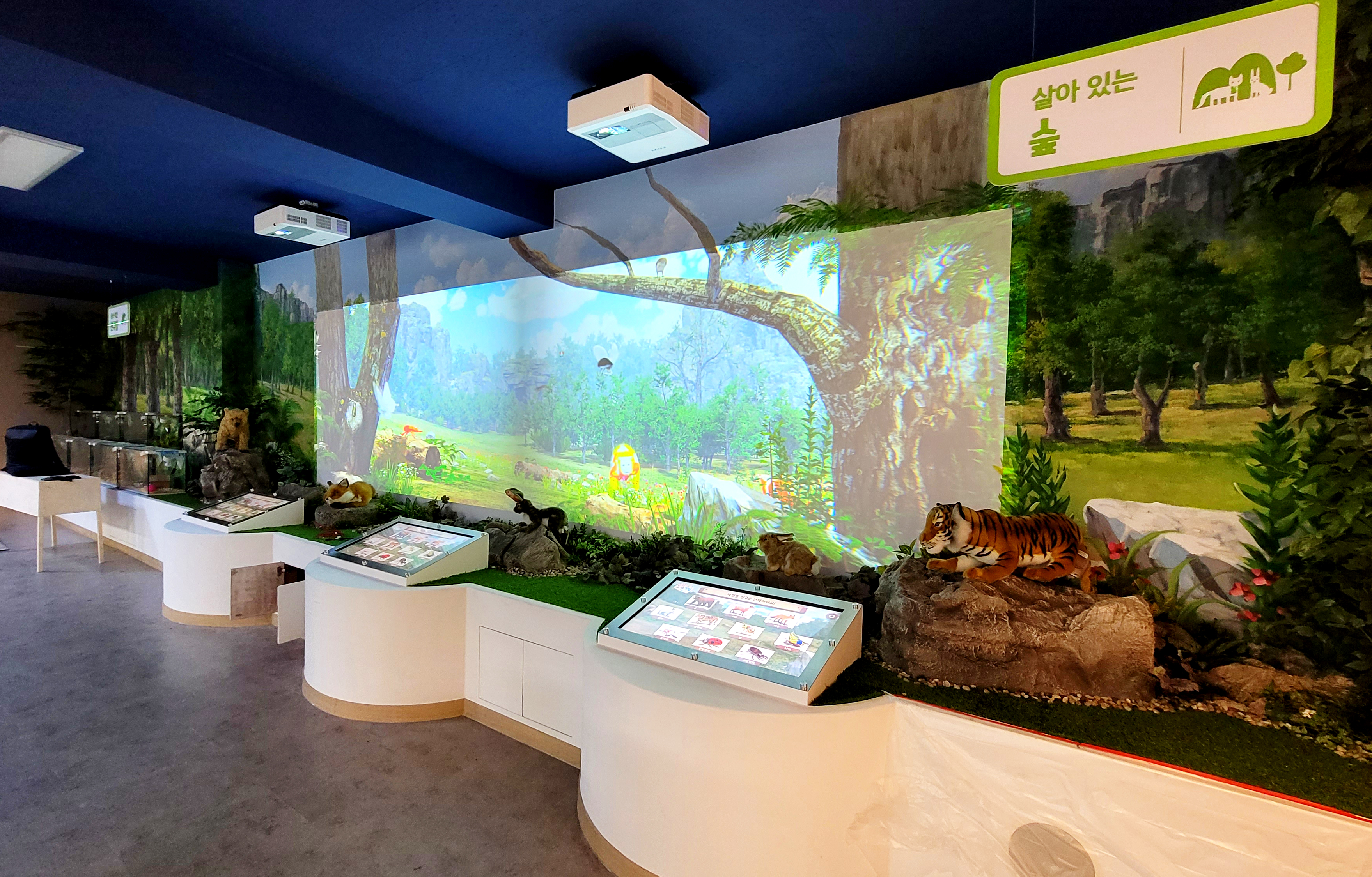 Busan Education and Development Institute's "Living Forest" digital experience content